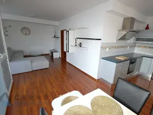 Pronájem bytu 3+kk, Liberec, Pod Rušičkou, 110 m2