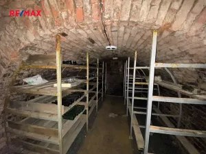 Prodej vinného sklepa, Mikulčice, 84 m2