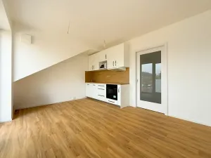 Pronájem bytu 1+kk, Brno, U zoologické zahrady, 32 m2