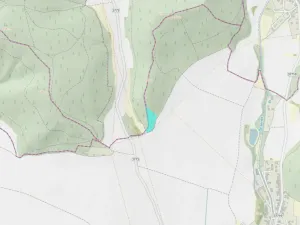 Prodej lesa, Lomnička, 7166 m2