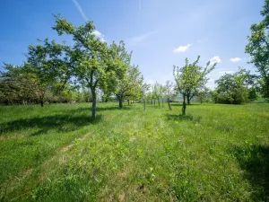 Prodej pozemku pro bydlení, Bučovice, 3623 m2