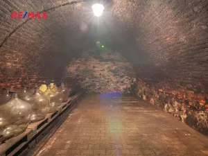 Prodej vinného sklepa, Brod nad Dyjí, 70 m2