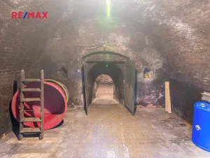Prodej vinného sklepa, Brod nad Dyjí, 70 m2