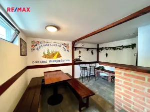Prodej vinného sklepa, Moravany, 60 m2