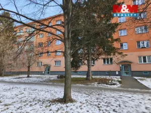 Pronájem bytu 1+kk, Havířov, Matuškova, 22 m2