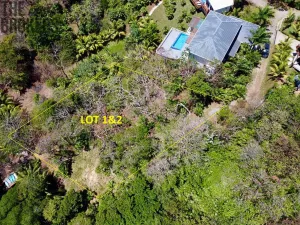 Prodej pozemku, Coxen Hole, Roatán, Honduras, 1902 m2