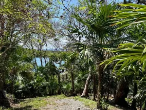 Prodej pozemku, Coxen Hole, Roatán, Honduras, 1902 m2