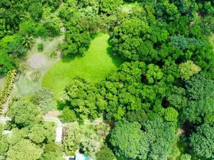 Prodej pozemku, Coxen Hole, Roatán, Honduras, 2090 m2