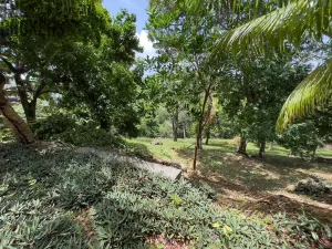 Prodej pozemku, Coxen Hole, Roatán, Honduras, 1872 m2