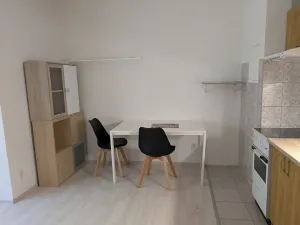 Pronájem bytu 1+kk, Rokycany, Dělostřelců, 30 m2