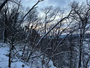 Prodej lesa, Dolní Bousov, 59634 m2