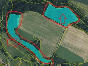 Prodej lesa, Dolní Bousov, 59634 m2