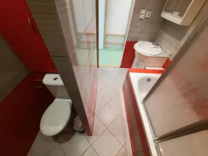 Pronájem bytu 2+1, Litoměřice, Vrchlického, 52 m2