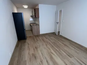 Pronájem bytu 2+kk, Litoměřice, Alfonse Muchy, 41 m2