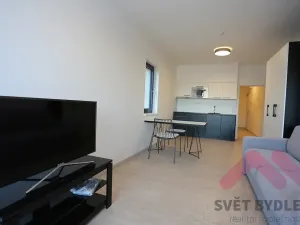 Pronájem bytu 1+kk, Praha - Karlín, U Mlýnského kanálu, 42 m2