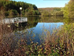 Prodej louky, Velký Ořechov, 21368 m2