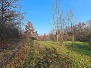 Prodej louky, Vilémov, 7357 m2