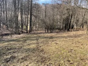 Prodej rodinného domu, Jeseník, Rejvízská, 180 m2