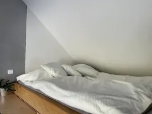 Prodej rodinného domu, Jeseník, Rejvízská, 180 m2