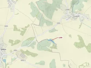 Dražba lesa, Stebno, 2275 m2