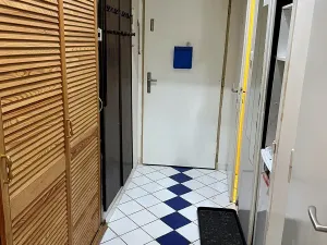 Pronájem bytu 1+1, Praha - Podolí, Nedvědovo náměstí, 32 m2