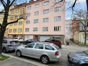 Pronájem bytu 1+1, Praha - Podolí, Nedvědovo náměstí, 32 m2