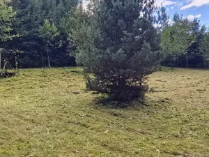 Prodej pozemku pro bydlení, Zbraslavice, 1832 m2