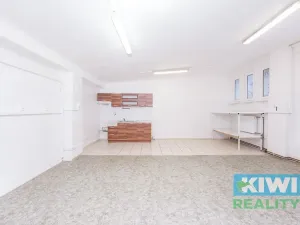 Pronájem obchodního prostoru, Ostrava, Maďarská, 44 m2