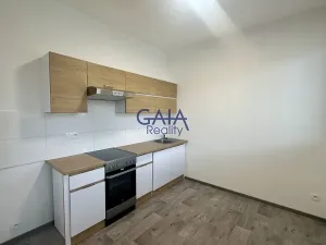 Pronájem bytu 1+kk, Kyjov, Vinařská, 37 m2