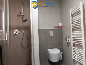 Pronájem bytu 1+kk, Olomouc, Frištenského, 33 m2