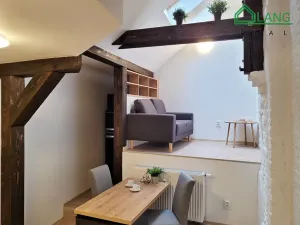 Pronájem bytu 1+kk, Brno, Francouzská, 35 m2