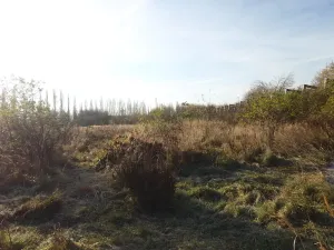 Prodej louky, Kosmonosy, 8401 m2