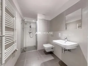 Pronájem bytu 1+kk, Praha - Karlín, Sokolovská, 40 m2