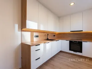 Pronájem bytu 2+kk, Most, Maxe Švabinského, 54 m2