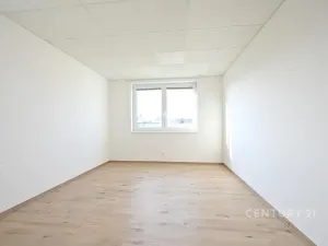 Pronájem bytu 2+kk, Plzeň, Tisová, 70 m2