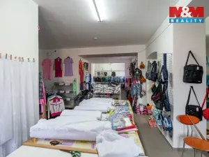 Prodej obchodního prostoru, Jemnice, Tyršova, 800 m2