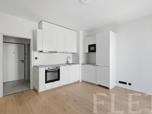 Pronájem bytu 1+kk, Praha - Vršovice, Krymská, 24 m2