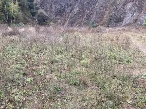 Prodej komerčního pozemku, Prackovice nad Labem, 91570 m2