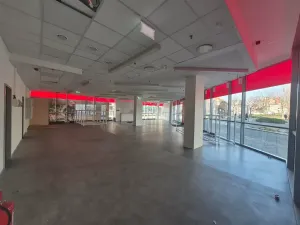 Pronájem obchodního prostoru, Praha - Holešovice, Jankovcova, 291 m2