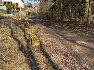 Prodej podílu pozemku, Kamenice, 1081 m2