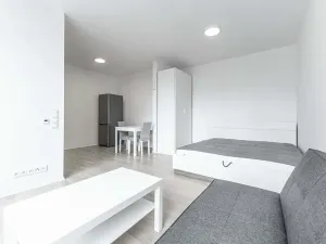 Pronájem bytu 1+kk, Praha - Nusle, Pod Děkankou, 38 m2