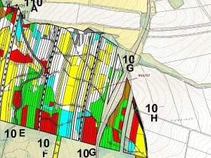 Dražba lesa, Nová Hradečná, 6750 m2
