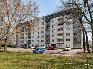 Pronájem kanceláře, Pardubice - Ohrazenice, Školská, 103 m2