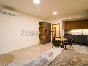 Pronájem bytu 1+kk, Brno, Cyrilská, 40 m2