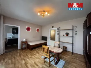 Pronájem bytu 2+1, Chlumec, Alejní, 53 m2