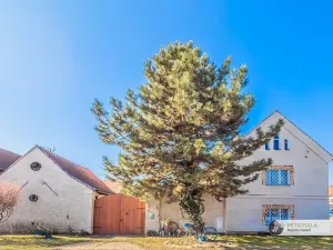 Prodej chalupy, Vraný, 133 m2