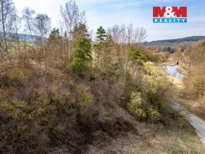 Prodej louky, Ejpovice, 2919 m2