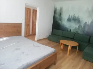 Pronájem bytu 1+1, Nové Město nad Metují, Nad Stadionem, 34 m2