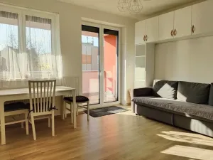 Pronájem bytu 1+kk, Plzeň, Klatovská třída, 47 m2