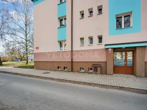 Prodej bytu 2+1, Plzeň, U Školky, 58 m2